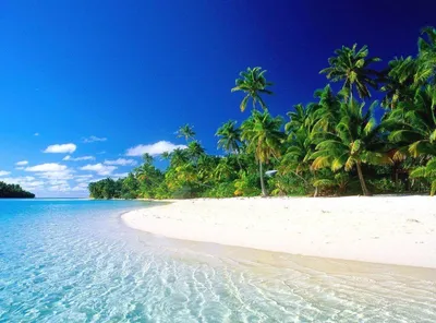 Лучшие пляжи Доминиканы по версии «Доминикана Live»