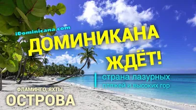 Mango_tour_msk - Доминикана – страна райского климата, где лето длится  круглый год. Одна из главных причин, по которым туристы выбирают  Доминикану, — ее сказочные пляжи.🐟🌴🌴🌴 На севере находится Атлантический  океан, на юге —