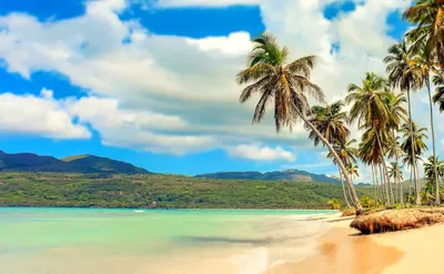 Доминикана пляж (109 фото) - 109 фото
