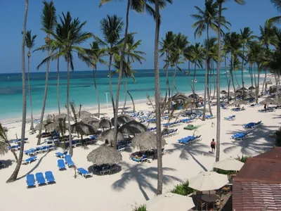 DOMINICAN 🇩🇴. Beaches, palms, ocean. Big movie. 4K. - YouTube