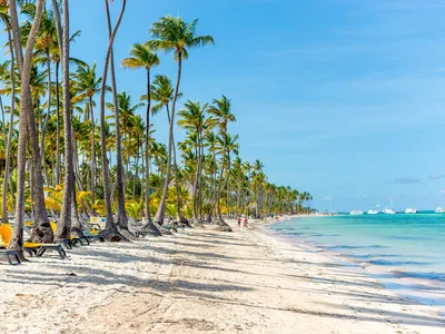 Картинки Доминиканская Республика punta cana пляжи Море 2560x1700