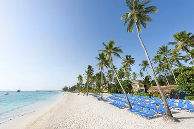 Пунта-Кана, Доминикана: отдых на море, пляжи, отели, достопримечательности