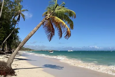 Лучшие пляжи Доминиканы: топ10, карта, описание, как добраться