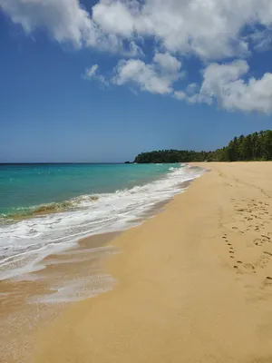 Playa Grande - жемчужина Северного побережья Доминиканы | Семейные  путешествия по Латинской Америке | Дзен