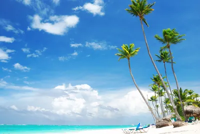 Фото «Доминиканский пляж» из фотогалереи «Доминикана» Доминикана ,  Доминиканская респ. (экскурс.) #13142