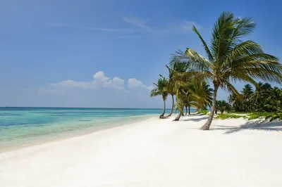 Топ-5 лучших пляжей Доминиканы | Турагентство Отрада