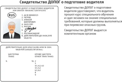 ДОПОГ. Европейское соглашение о международной дорожной перевозке опасных  грузов. В 2-х томах. - купить книгу в интернет-магазине CentrMag по лучшим  ценам! (00-00007493)