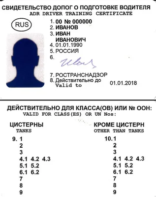 Что такое ДОПОГ?