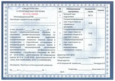 Соглашение о международной дорожной перевозке опасных грузов (ДОПОГ):  Действует с 1 января 2021 года | United Nations iLibrary