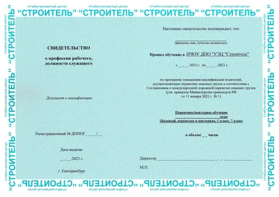 Приложение ДОПОГ - Перечень опасных грузов, маркировка грузов, штрафы и  многое другое