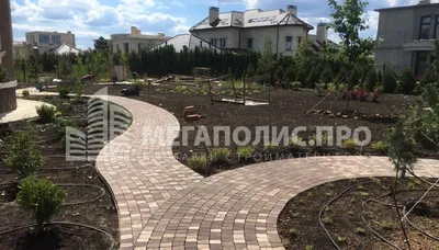 Дорожки из тротуарной плитки: цена под ключ в СПб