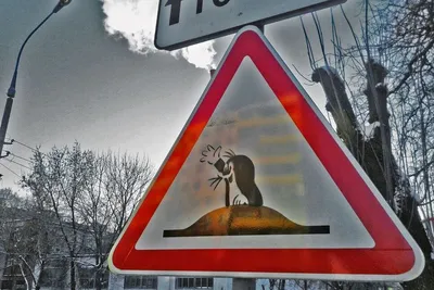 В России появятся новые дорожные знаки и синяя разметка - читайте в разделе  Новости в Журнале Авто.ру