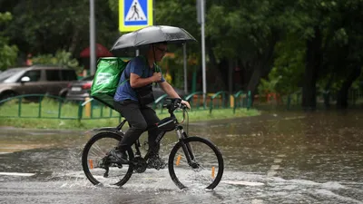 Дождь и заморозки: в каких регионах Казахстана объявили штормовое  предупреждение