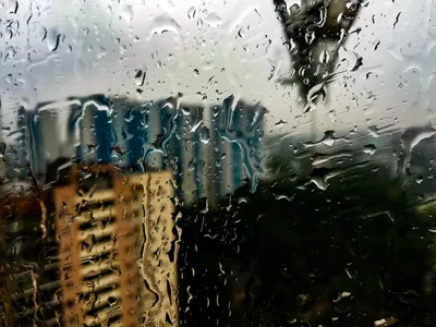 дождь за окном фотография Stock | Adobe Stock