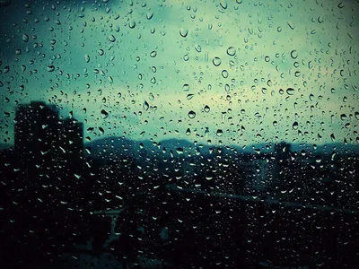 Сильные дожди ожидаются в Псковской области 7 октября : Псковская Лента  Новостей / ПЛН