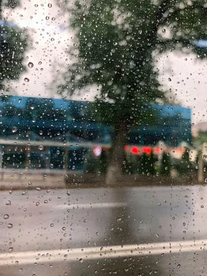 А дождь на окнах рисует …