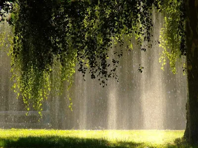 Фотографии Дождь красивое в формате webp - скачать бесплатно