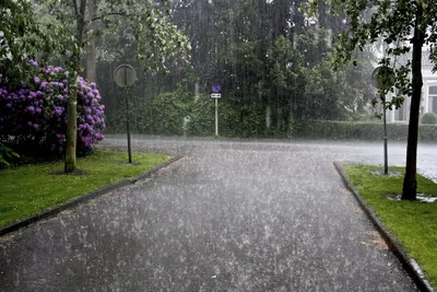 Реалистичные изображения дождя на улице для скачивания
