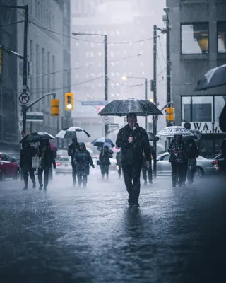Дождь на улице фотографии