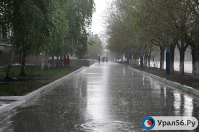 Эмоциональные фотографии дождя на улице: передайте настроение с помощью изображений