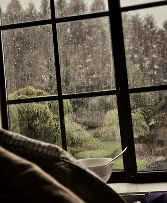 Дождливые оттенки: фото Дождя за окном машины подарят вам особую атмосферу
