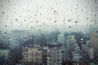 Скачать бесплатно фото Дождя за стеклом в хорошем разрешении 