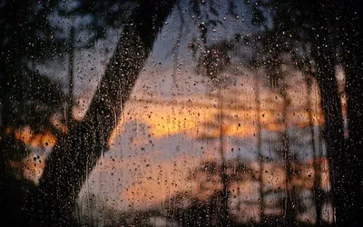 Иммерсивное погружение в Дождь за стеклом 