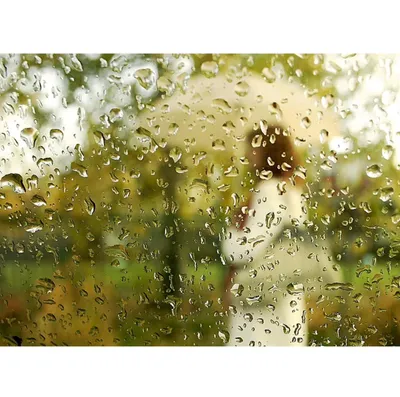 Уникальные снимки Дождя за стеклом в разных размерах 