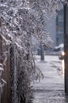 Дождь зимой» — создано в Шедевруме