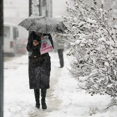 картинки : зима, дождь, Погода, метель, Замораживание, атмосферные осадки,  зимняя буря, Дождь со снегом смешанный 3264x2448 - - 76464 - красивые  картинки - PxHere