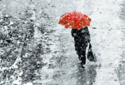 зимний дождь стоковое изображение. изображение насчитывающей заморозок -  236739901