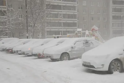Видео ледяного дождя в Москве 22 ноября 2022: москвичи показали, во что  превратилась столица - KP.RU