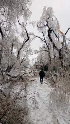 Зима не сдаётся: снег, дождь и сильный ветер ожидают кыргызстанцев |  Новости.кг