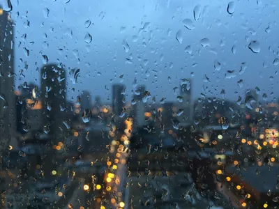 Фото дождевых капель: Качество и красота в каждом кадре