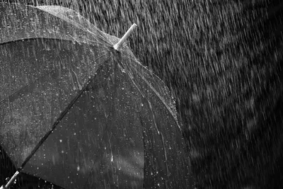 Фото Дождь: Красивые изображения в png и jpg форматах