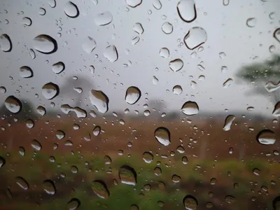 Стремительный дождь: Скачать фотографии в webp формате