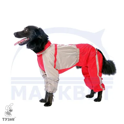Водоотталкивающий дождевик для собаки M-67 красного цвета | 4Dog