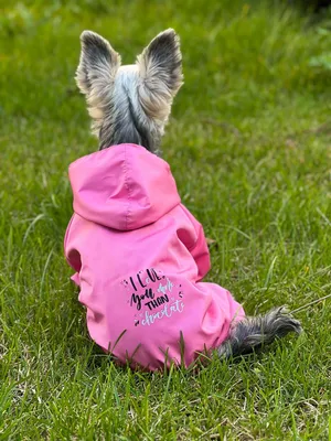 Комбинезоны - дождевики » Dogland - Одежда для Собак
