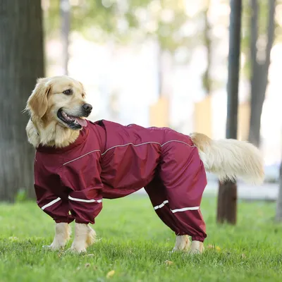 Дождевик для собак Rain Pet Fashion Active красный