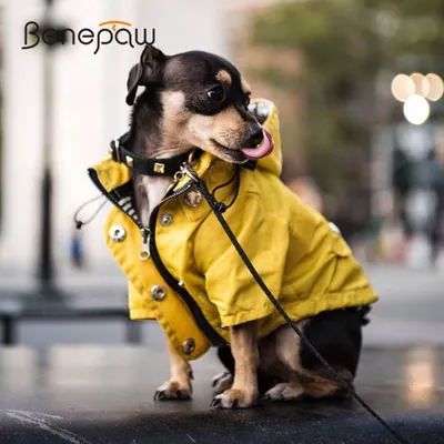 222 Дождевик \"Сити\" - Puppy Angel в интернет магазине одежды для собак  GlamDog.Ru