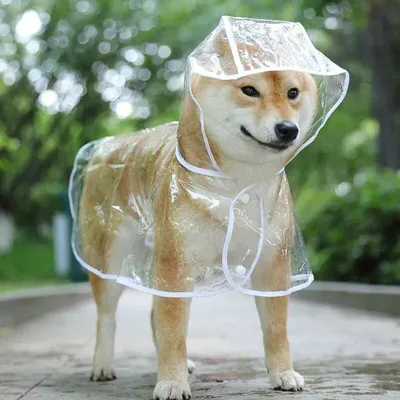 Водоотталкивающий дождевик для собаки M-86 лавандового цвета