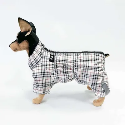 Одежда для собак крупных и средних пород JOY Комбинезон дождевик для самок  - купить с доставкой по выгодным ценам в интернет-магазине OZON (301541966)