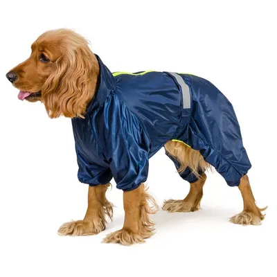 Одежда для собак крупных и средних пород JOY Комбинезон Дождевик для собак  45М для самок - купить с доставкой по выгодным ценам в интернет-магазине  OZON (301541957)