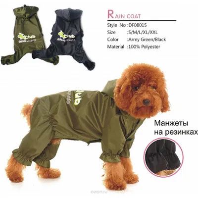 Дождевик для собак Rain Pet Fashion Active бирюзовый