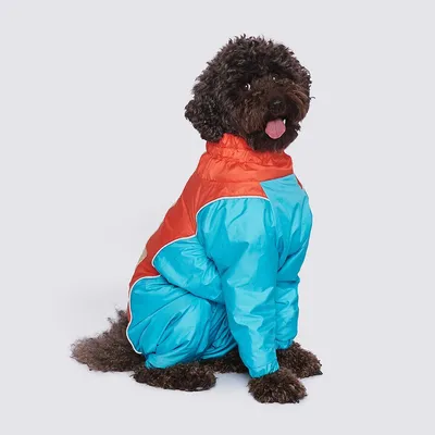 Дождевик для собак с нейлоновой подкладкой, размер M34, Розовый — Collar,  акция действует до 24 июля 2025 года | LeBoutique — Коллекция брендовых  вещей от Collar — 6388959