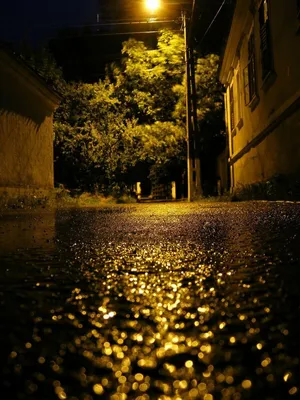 Мелодия дождя ночью
