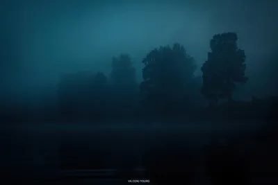 Тайна дождевых капель в ночном фоне