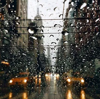Отражение дождевых капель на окне: скачать jpg