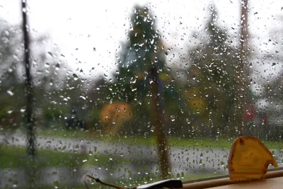 Расслабляющая мелодия дождя: красивые фото