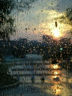 Меланхолия осеннего дождя: бесплатные картинки